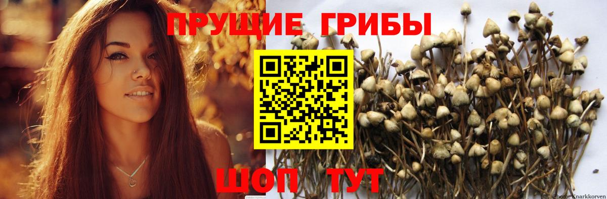 Галлюциногенные грибы MAGIC MUSHROOMS Россия