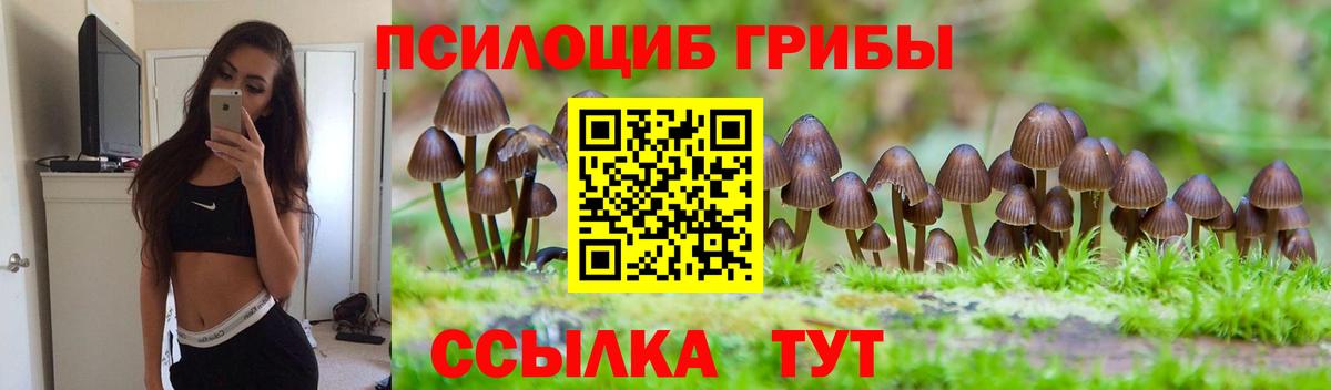 Псилоцибиновые грибы мухоморы  Вход с VPN  Россия 